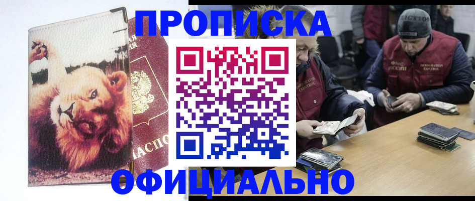 прописка в квартире в Щёлкино