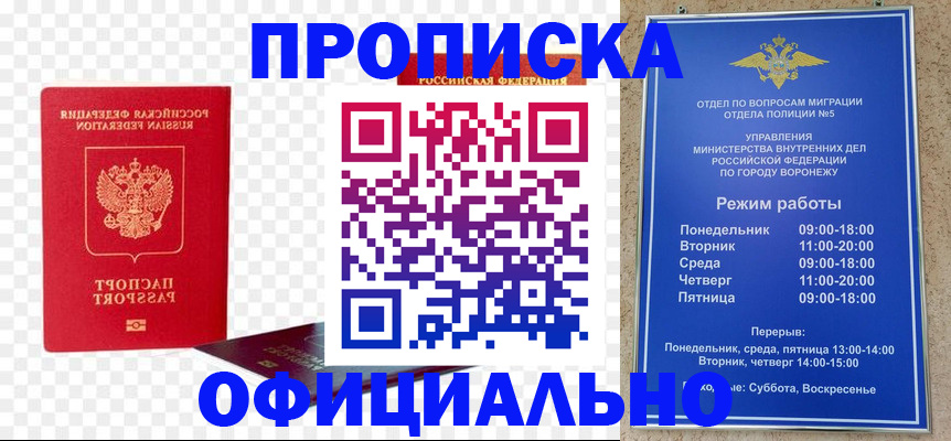 прописка иностранных граждан в Щёлкино